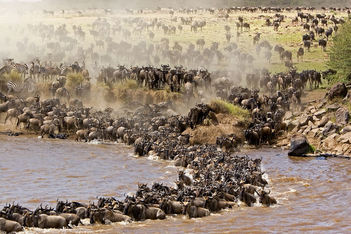 Great Migration Tanzania Best Time to Visit in a Luxury way