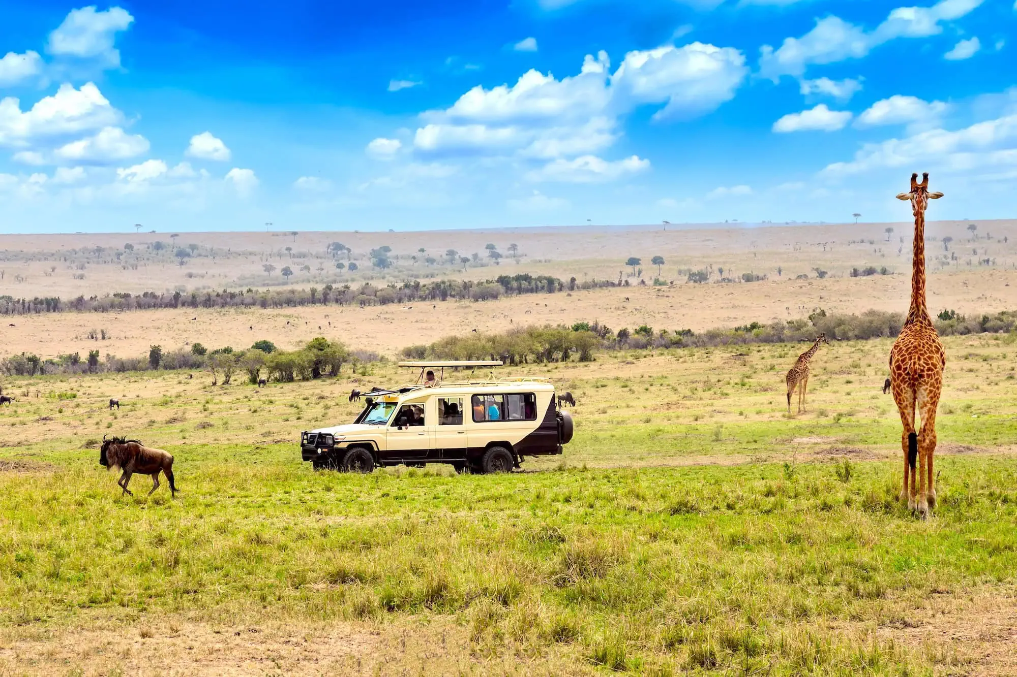 Pharaohs to Plains: A Luxury Egypt and Kenya Tour Adventure Safari
