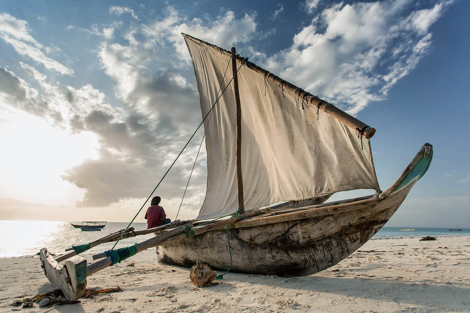 Legacy of the Land and Sea: From Safari Wonders to Swahili Shores