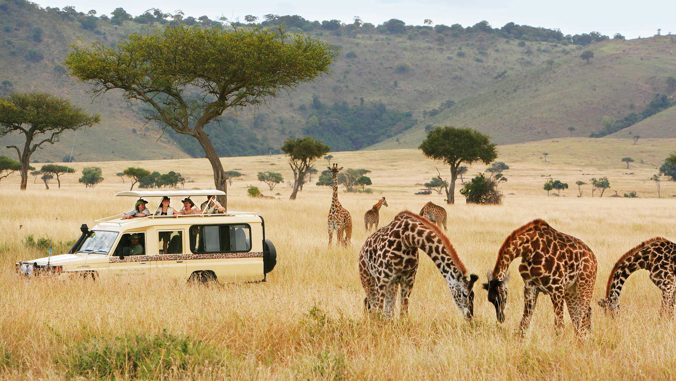 Best African Safaris Packages