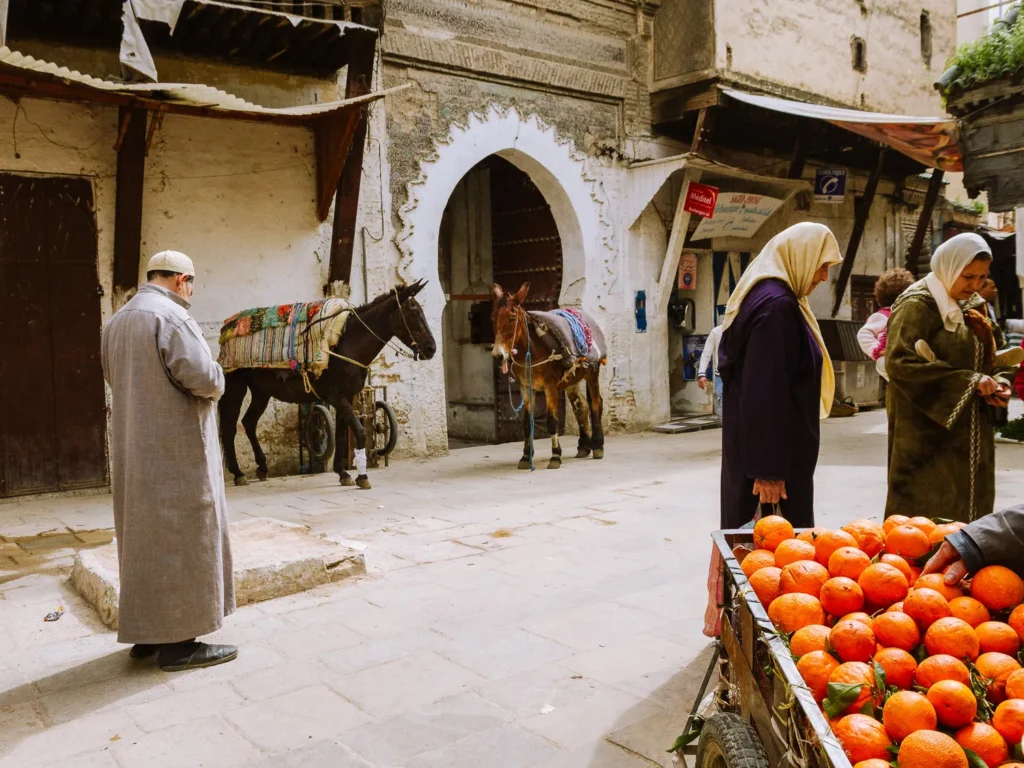 Best Things to do in Fez Morocco