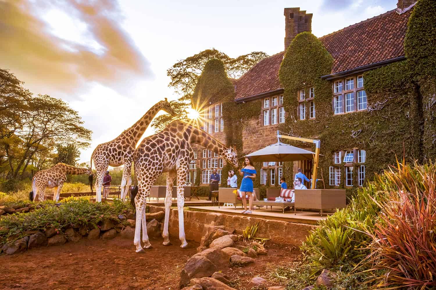 Journey Through the Giraffe Manor Travel Package with Safari