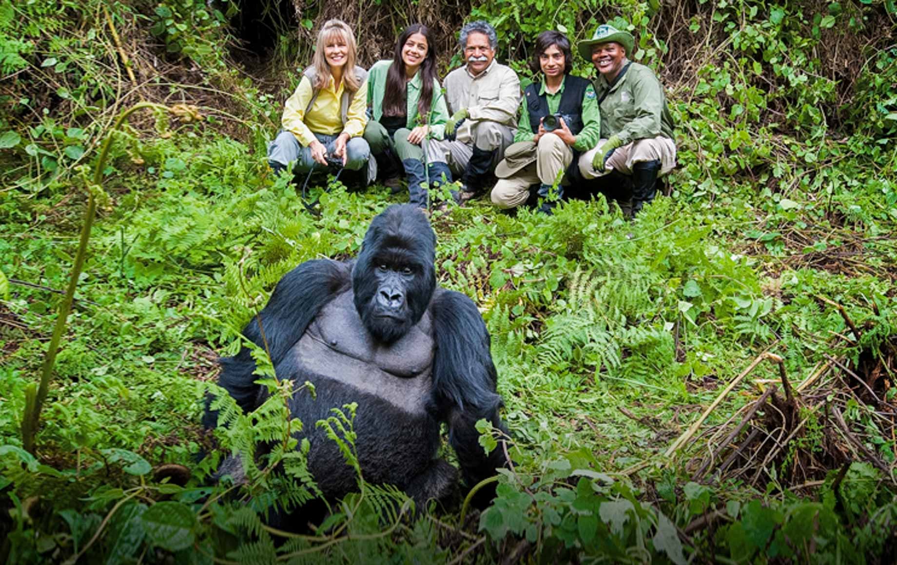 Rwanda and Tanzania Gorilla Trekking and Safari