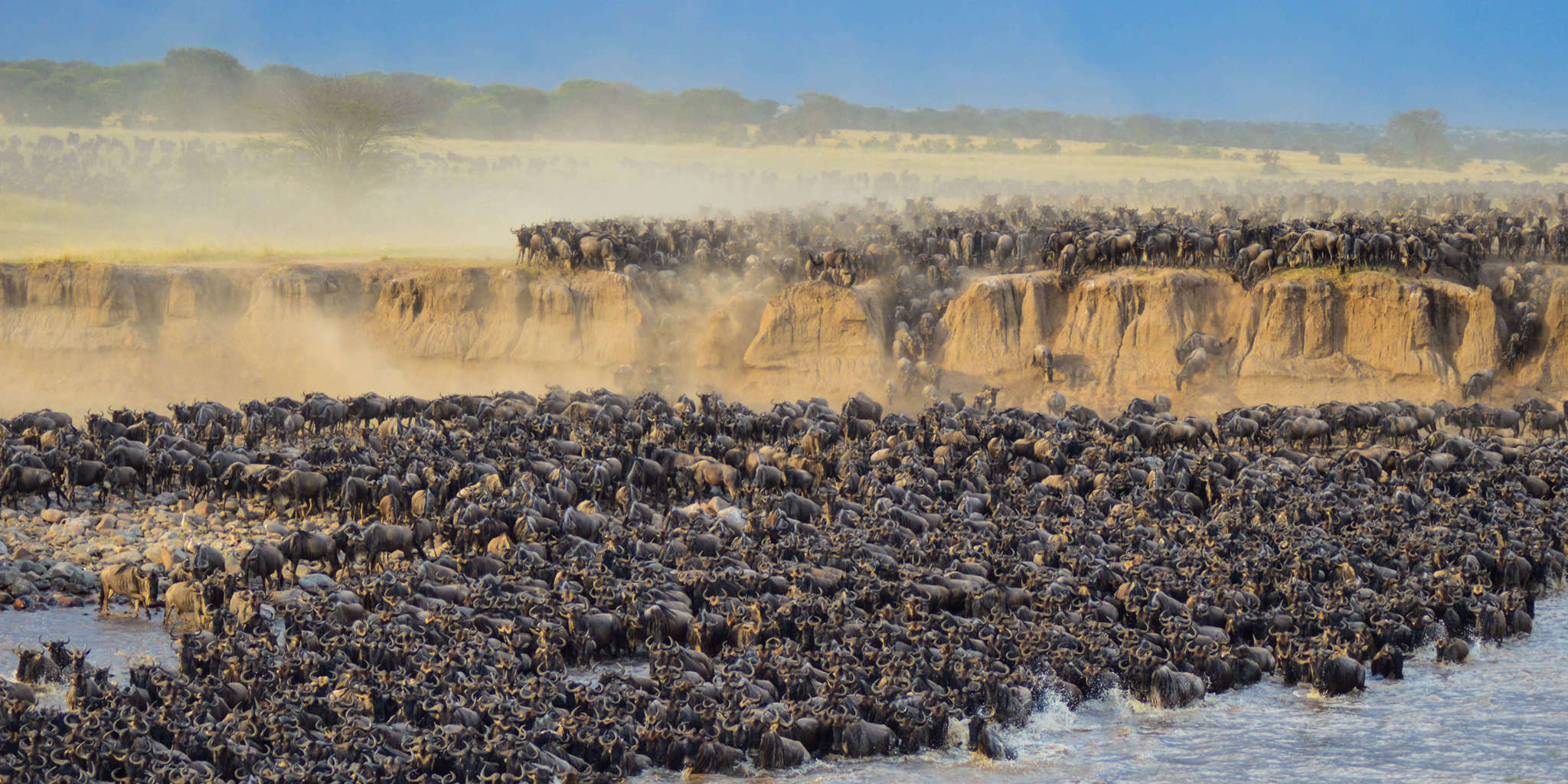 The Serengeti Great Migration