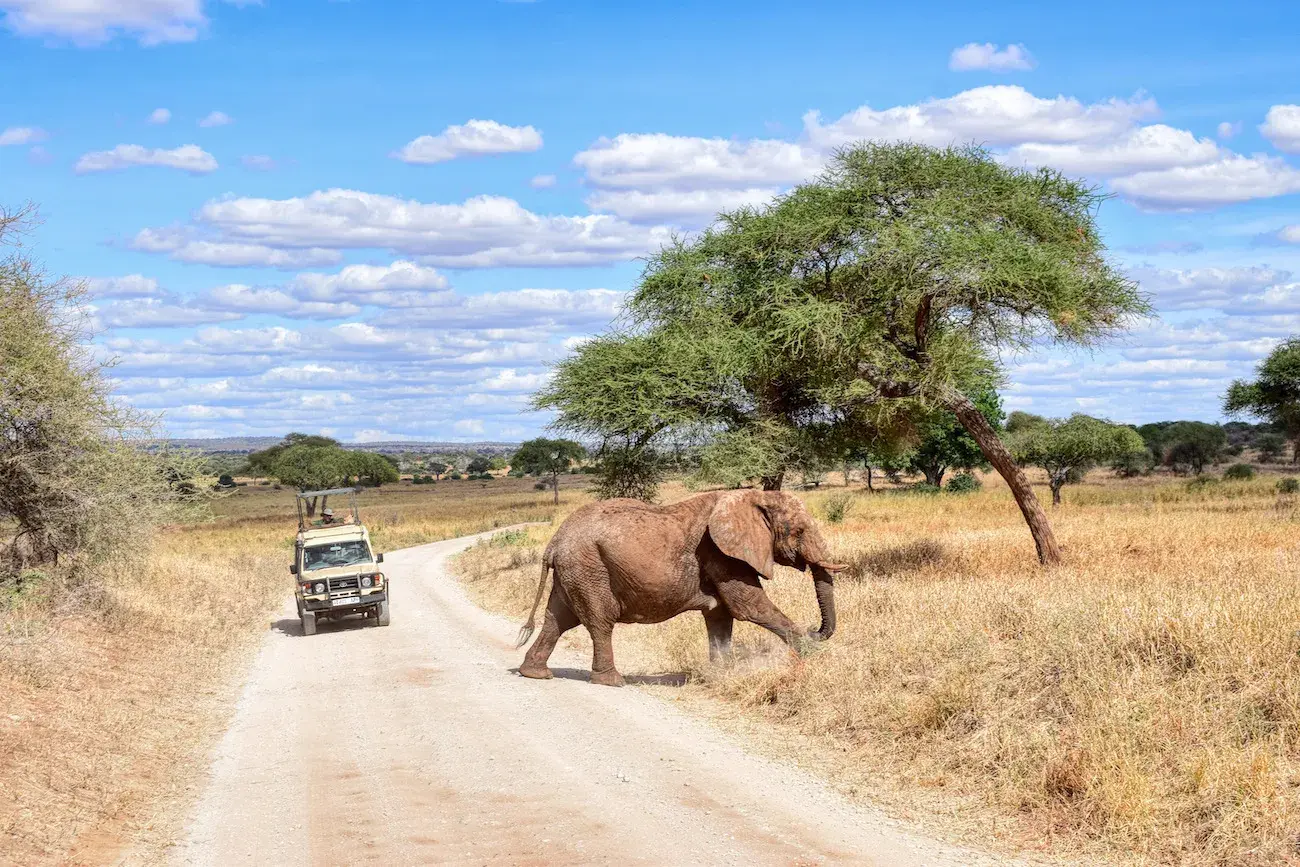 Wild Wonders of East Africa: Kenya, Tanzania and Rwanda