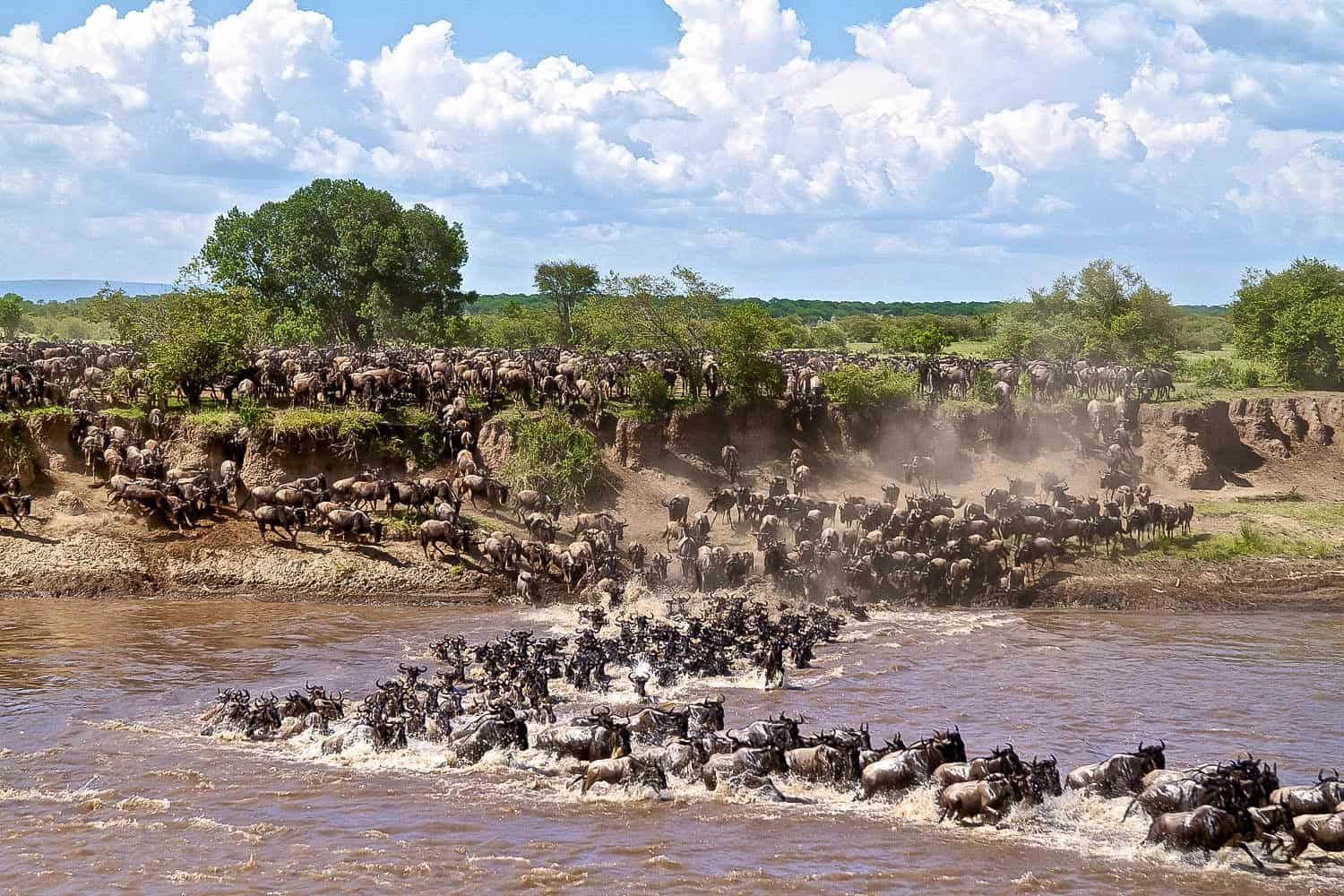 Great Migration Tanzania Best Time to Visit in a Luxury way