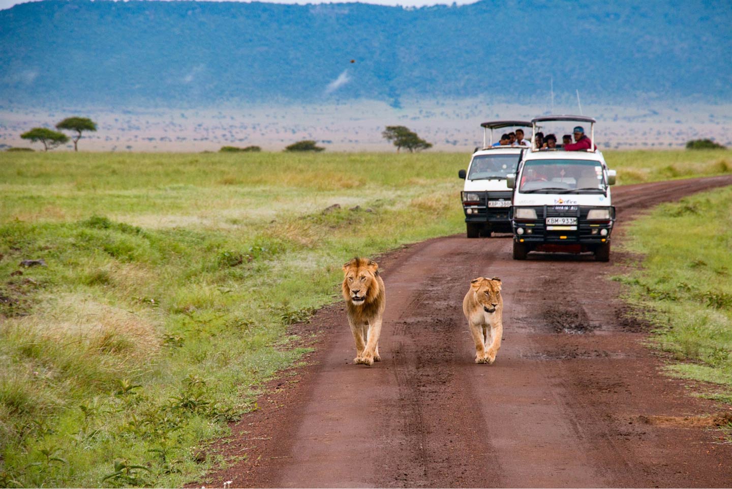 Maasai Mara