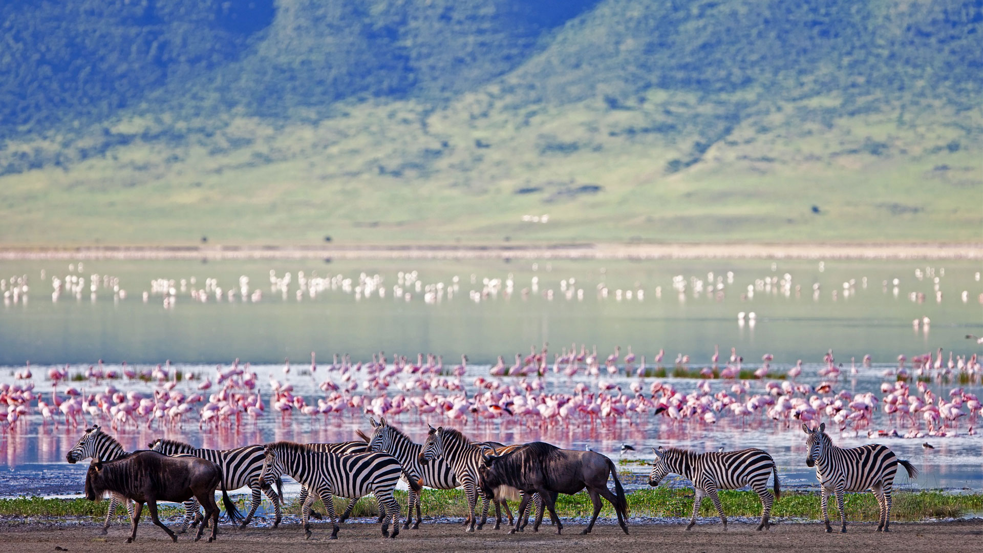 Ngorongoro Crater – Tanzania