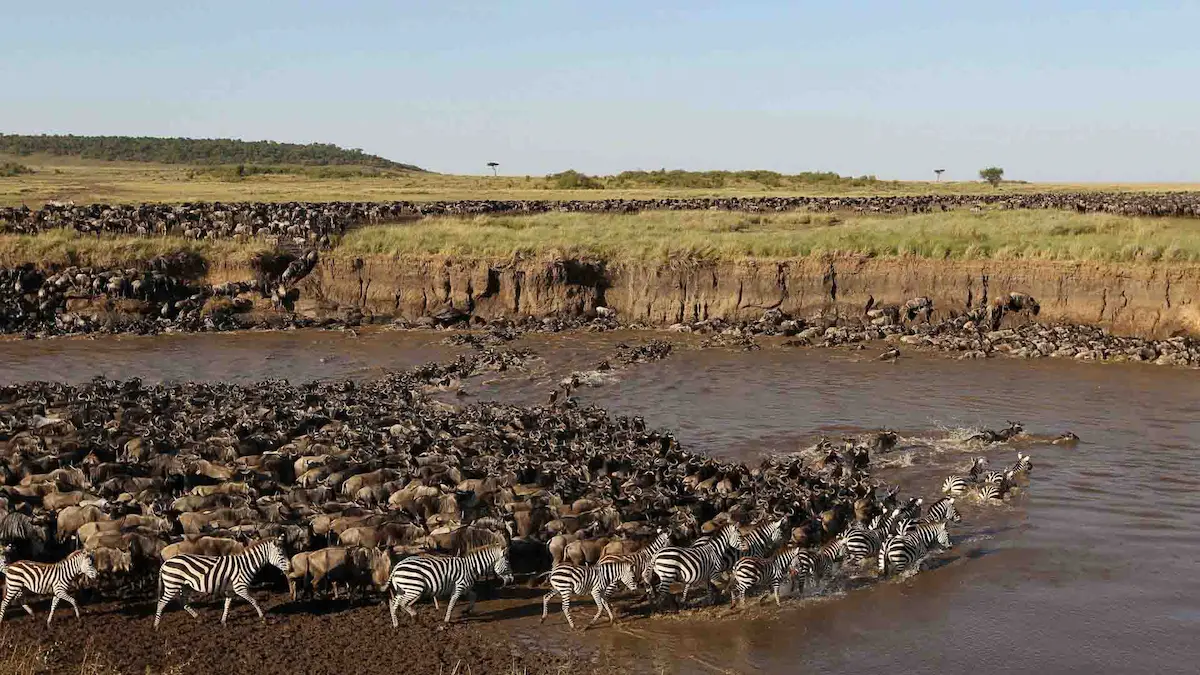 Witness the Great Migration in Tanzania