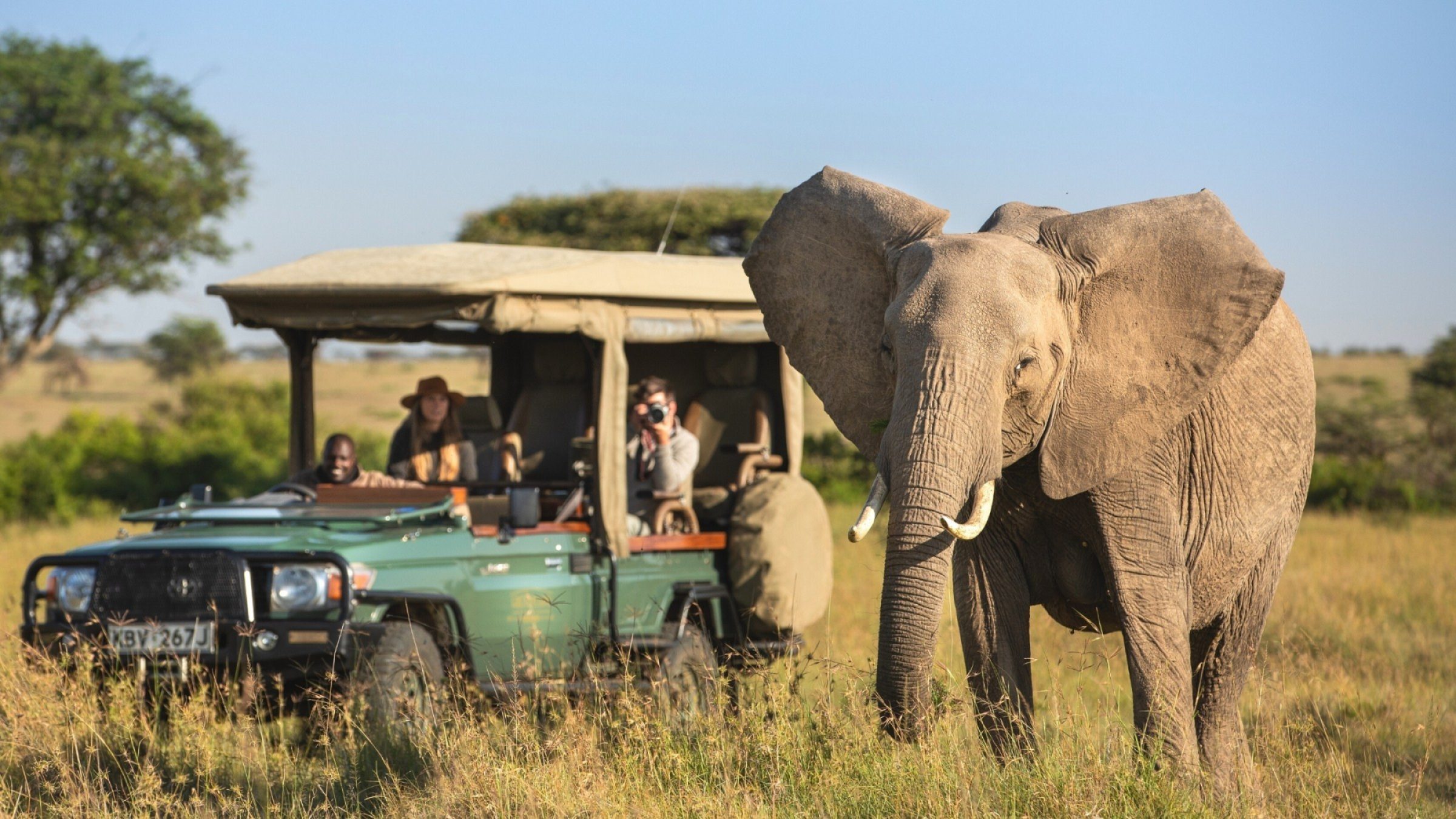 Wild Wonders and Wine: A Southern Africa Odyssey Elite Tour