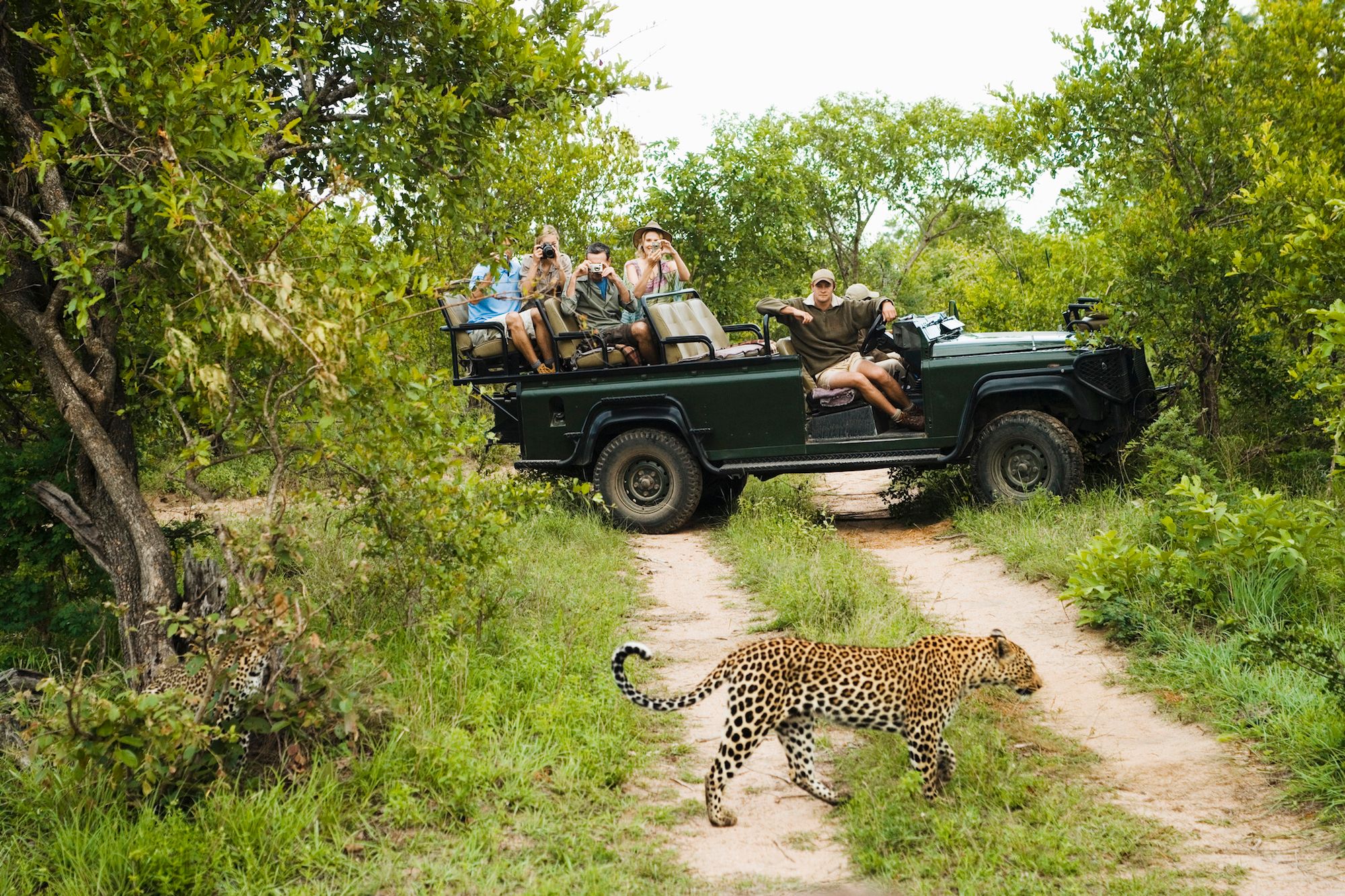 Tastes of Tradition: A South African Cultural Feast and Conservation