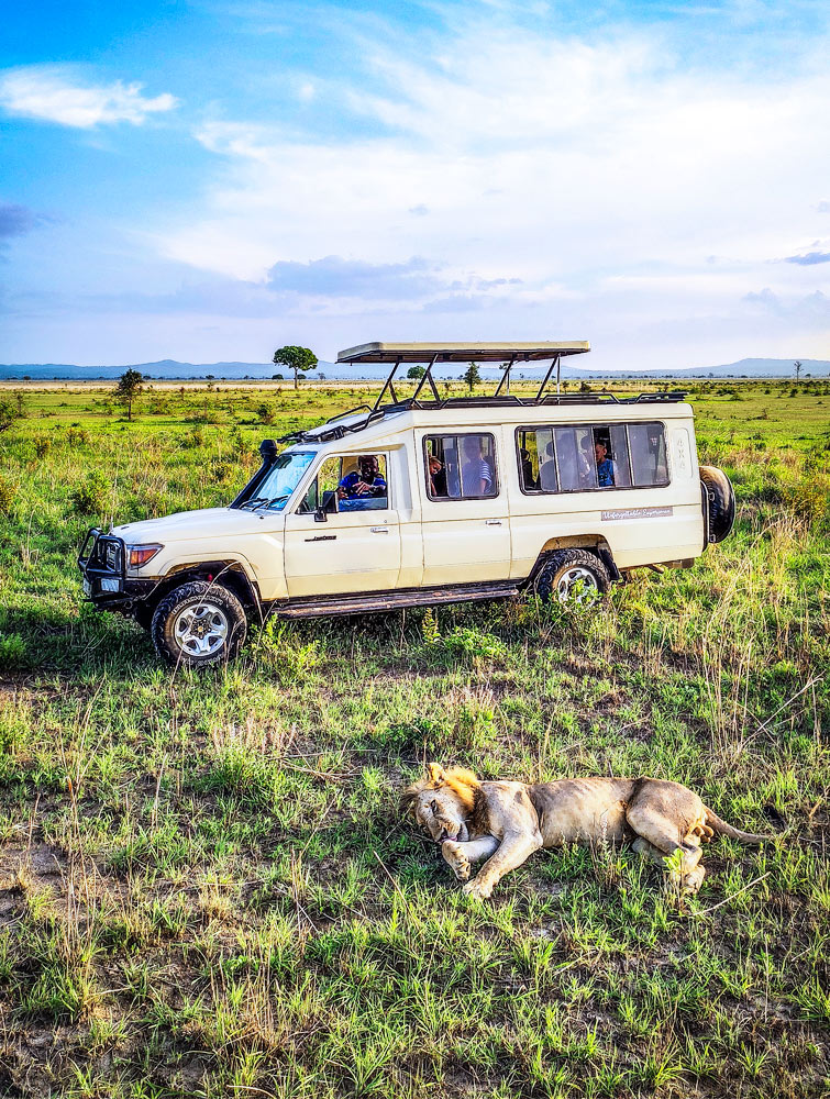 Legacy of the Land and Sea: From Safari Wonders to Swahili Shores
